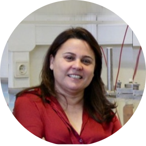 <p>Filomena Filipe Barreiro</p>